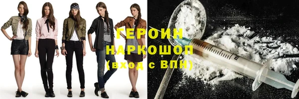 индика Богданович